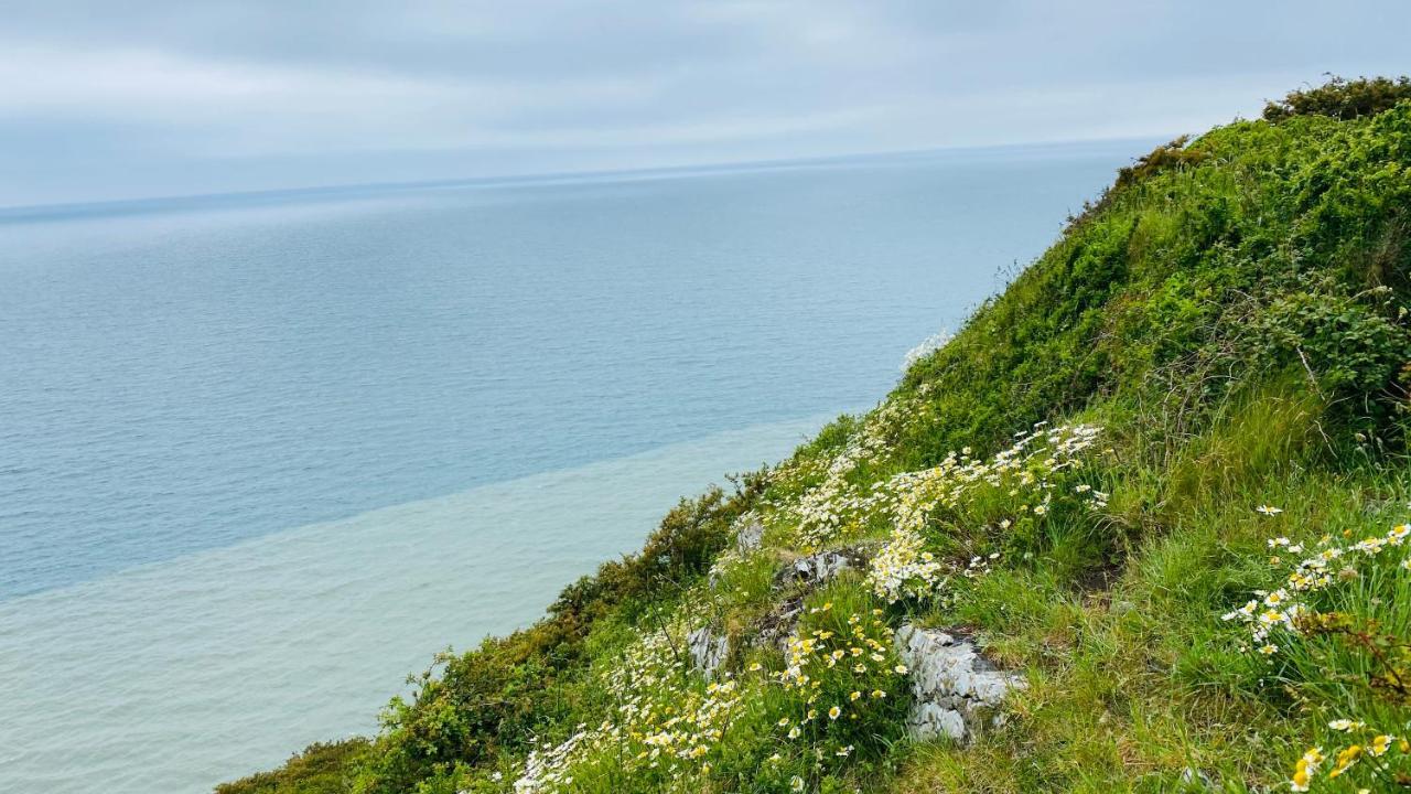 Gordy Hall -Sea Facing Welsh Cottage With Stunning Views Pendine Dış mekan fotoğraf